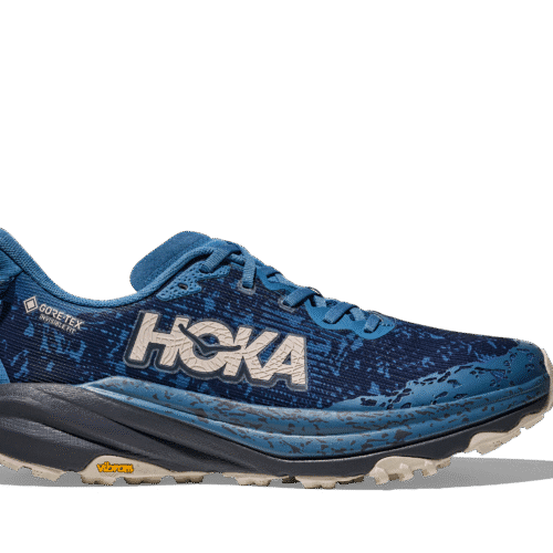 Men's Speedgoat 6 GTX (FYNG - Foggy Night/Charcoal Grey)